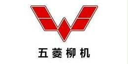 91抖音APP合作客户：柳州五菱